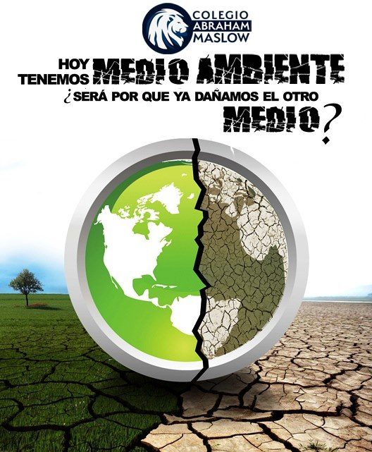 MEDIO AMBIENTE MEDIO AMBIENTE