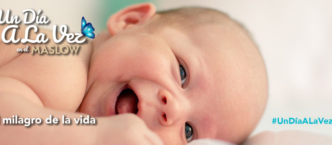 El milagro de la vida El milagro de la vida